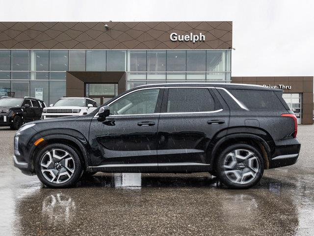 hyundai Palisade 2024 - 3