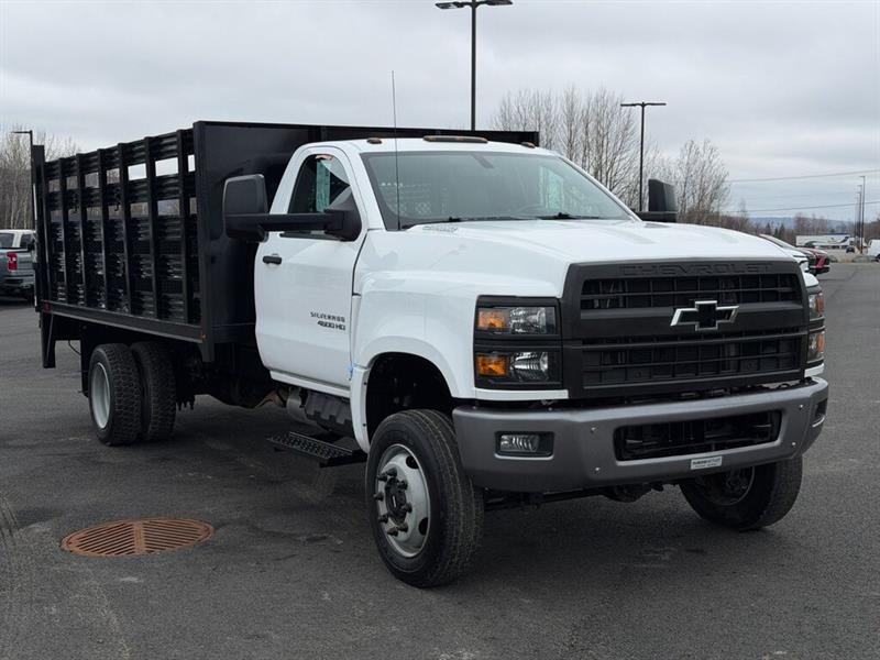 chevrolet Silverado 2020 - 10