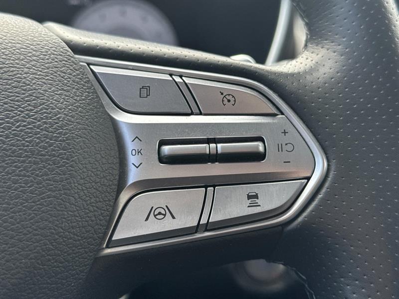 hyundai Santa Fe 2022 - 17