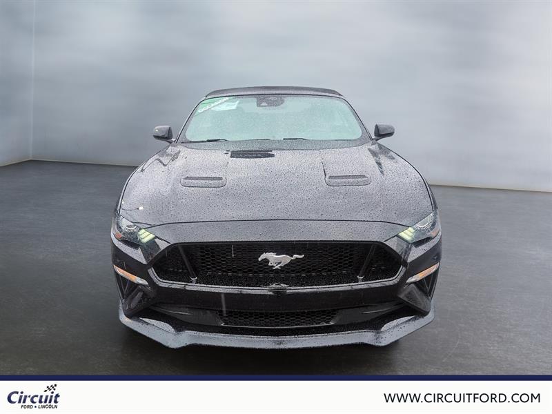 ford Mustang 2022 - 2