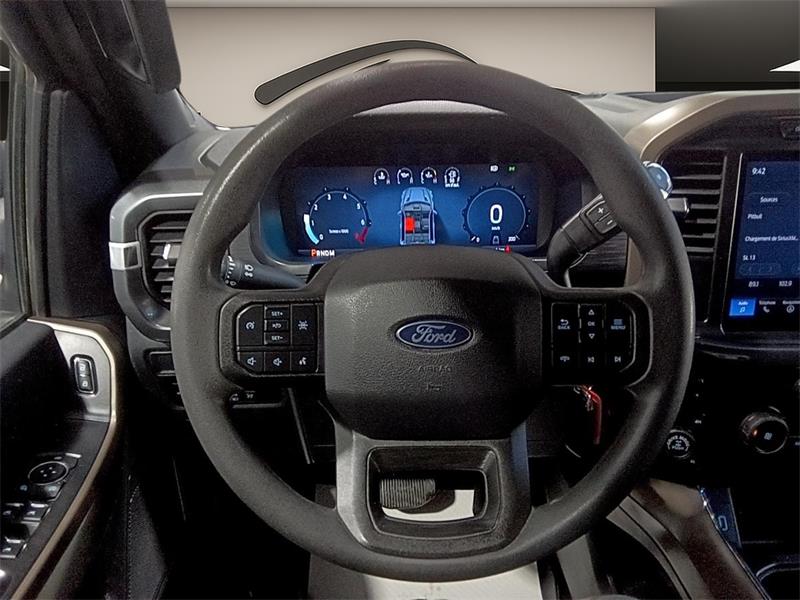 ford F-150 2024 - 15