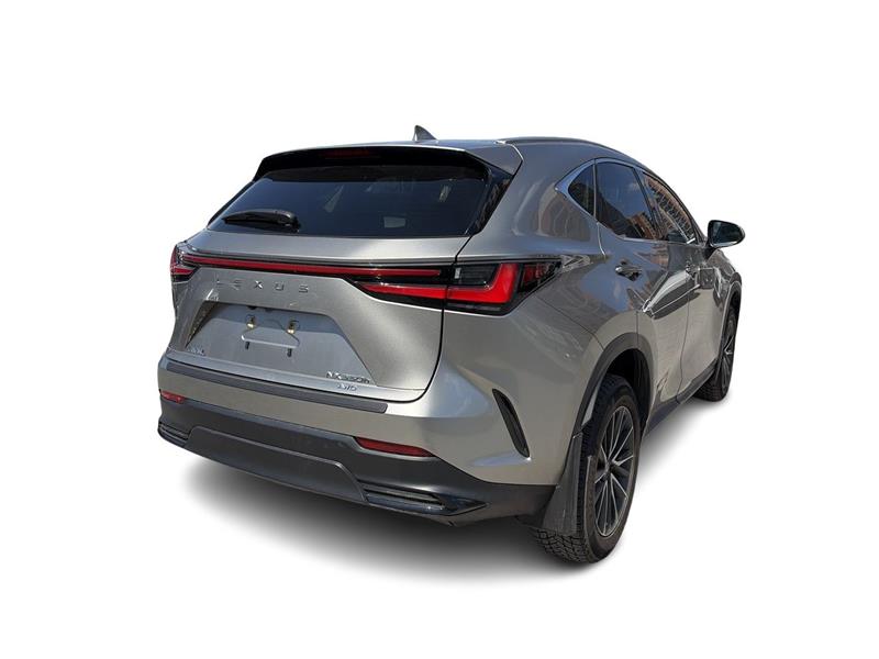 lexus NX 2023 - 13