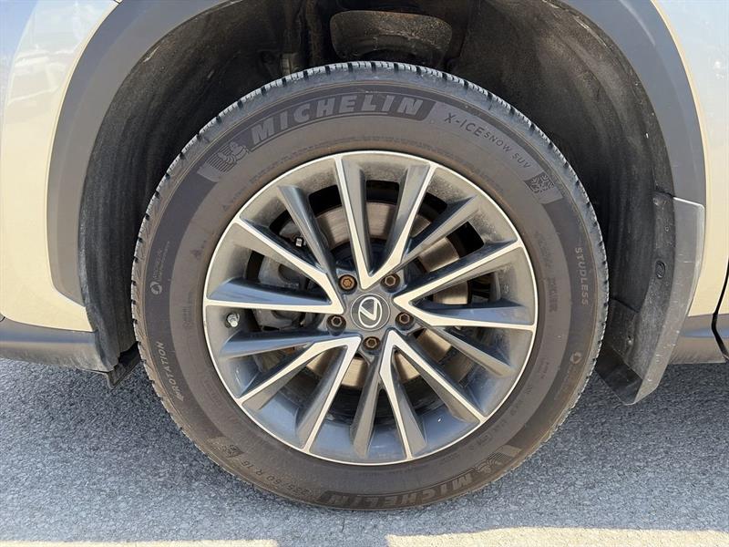 lexus NX 2023 - 18