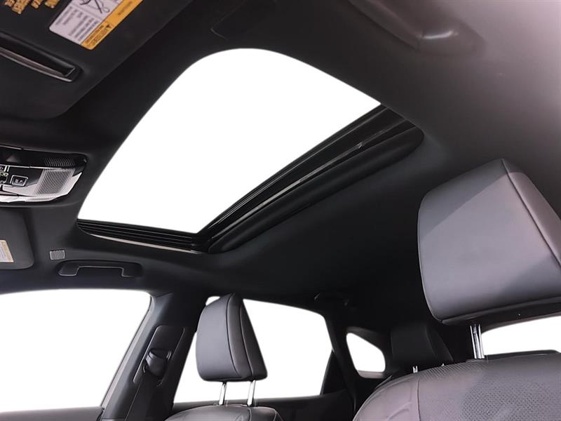 lexus RX 350h 2023 - 18