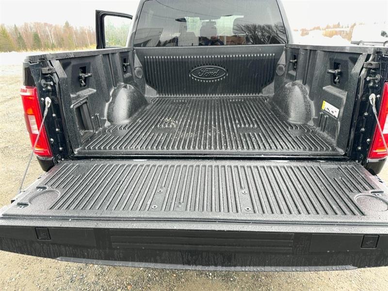 ford F-150 2022 - 16