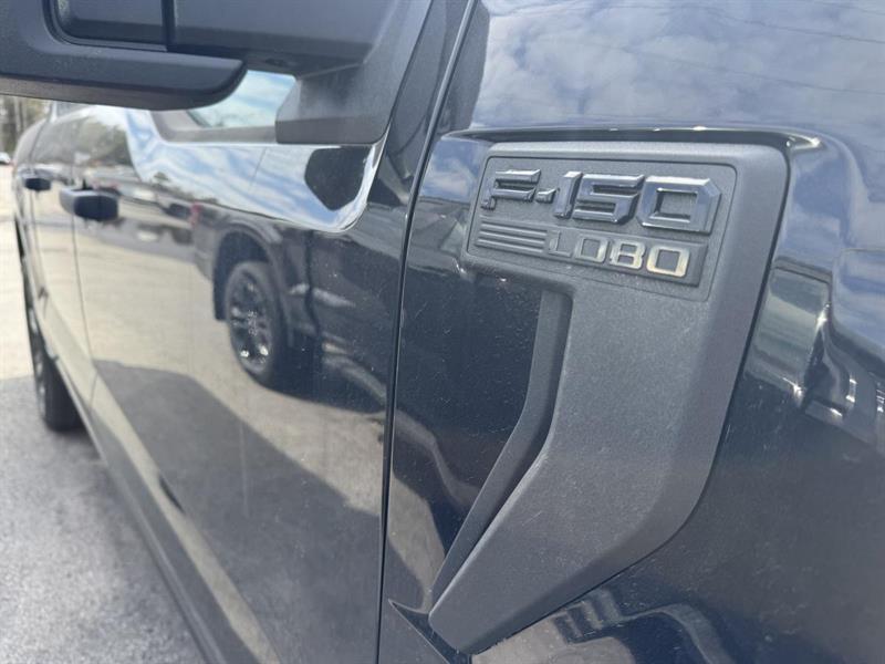 ford F-150 2025 - 5