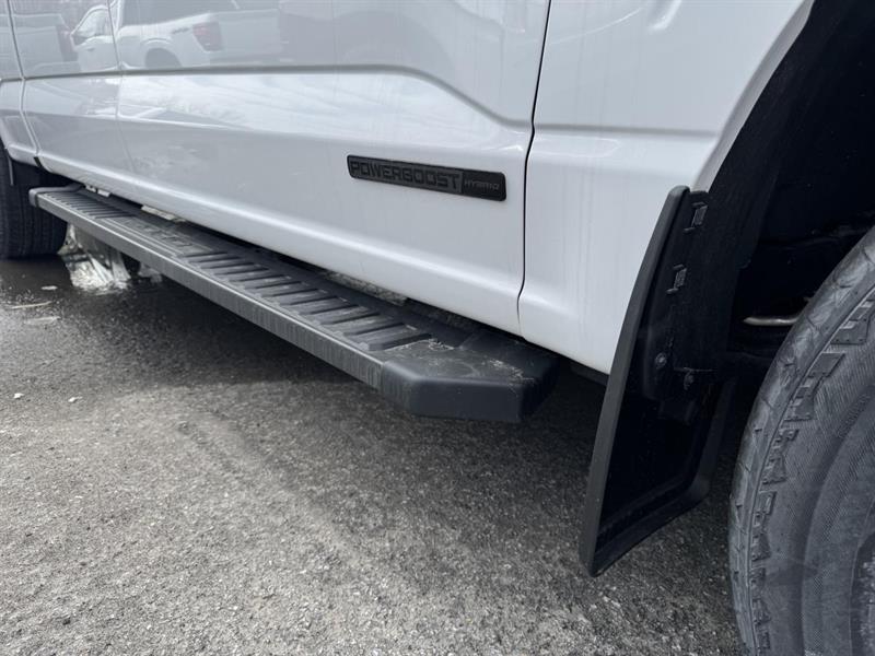ford F-150 2026 - 5
