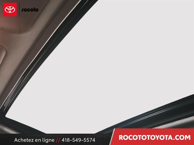 toyota RAV4 Hybrid 2021 - 20