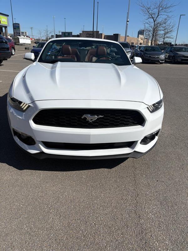 2015 Ford Mustang - Image 5