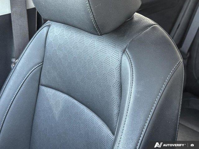 kia Seltos 2023 - 24