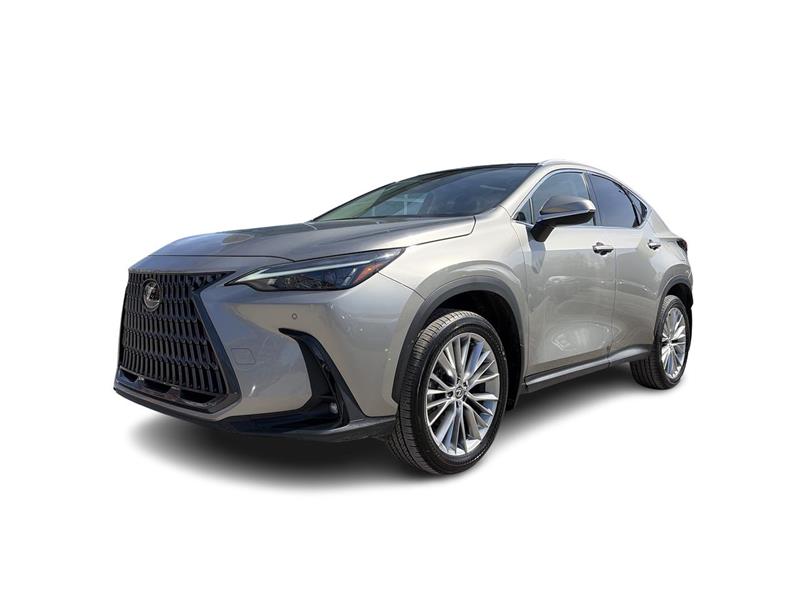 lexus NX 2024