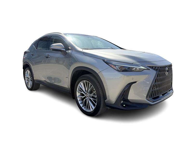 lexus NX 2024 - 2