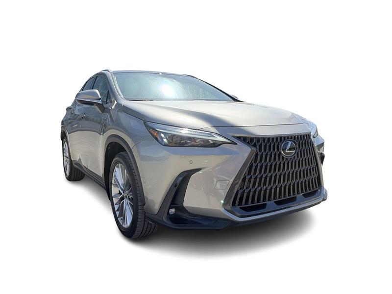 lexus NX 2024 - 3