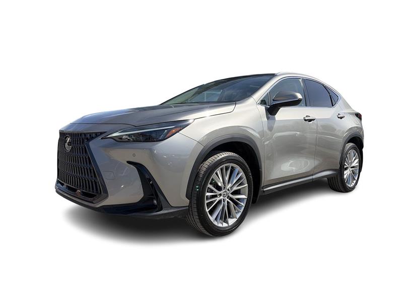 lexus NX 2024 - 6