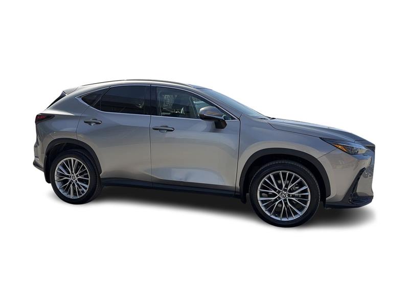 lexus NX 2024 - 17