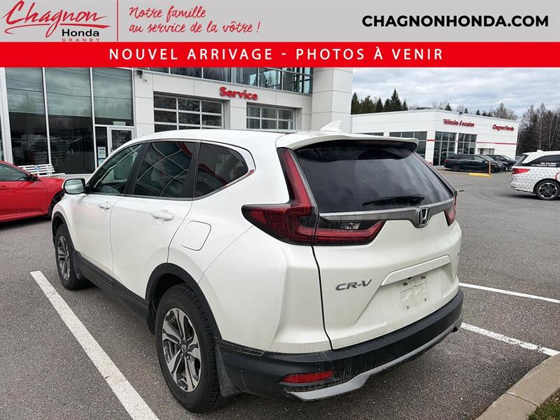 honda CR-V 2022 - 5