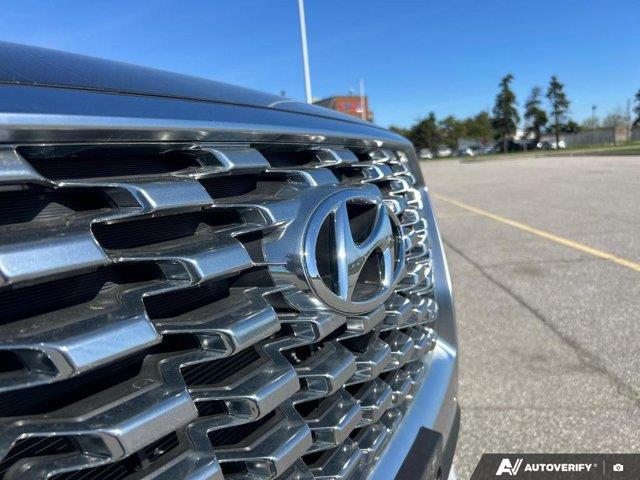 hyundai Palisade 2021 - 12