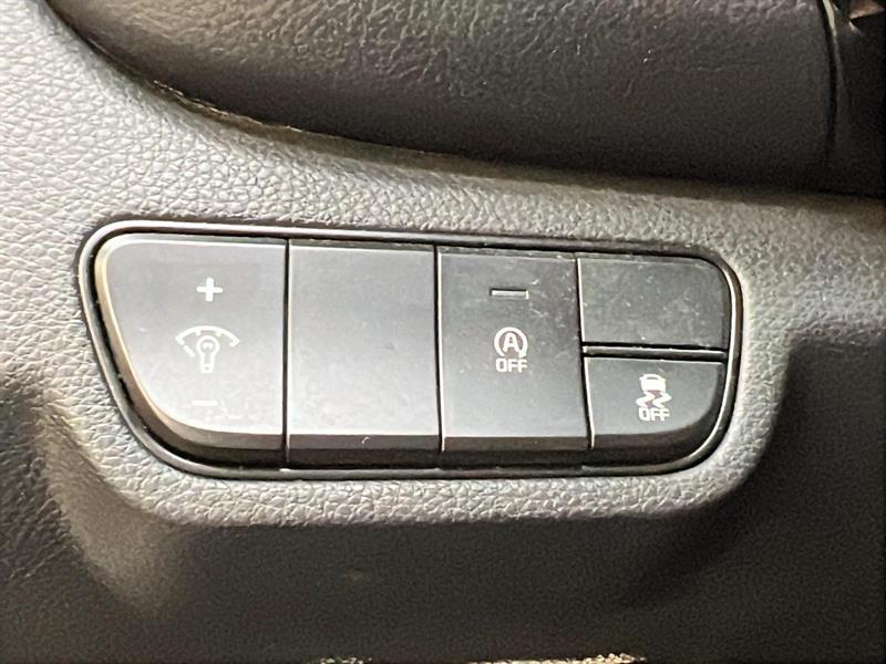 kia Seltos 2024 - 21