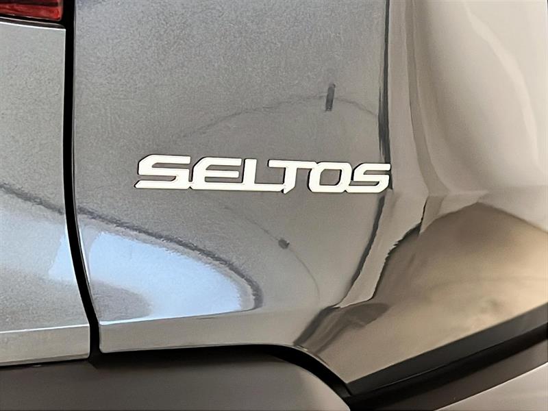 kia Seltos 2024 - 25