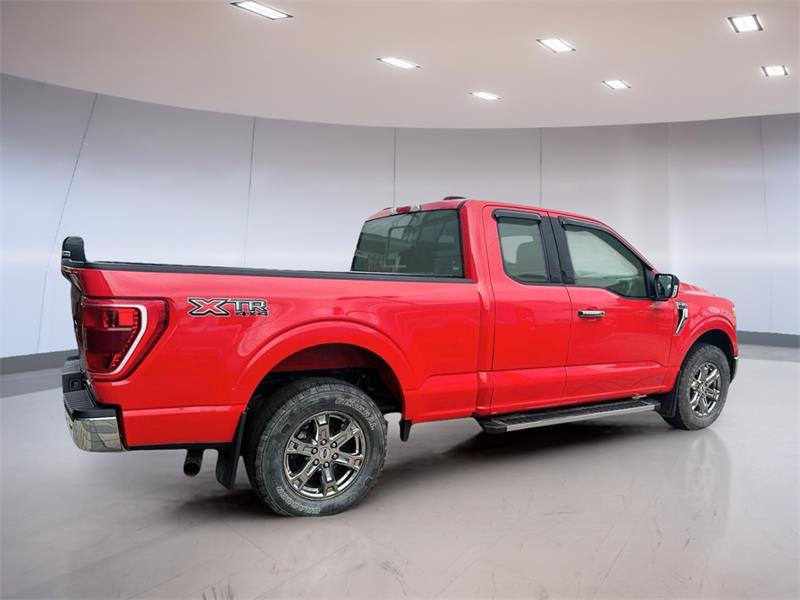 ford F-150 2021 - 3