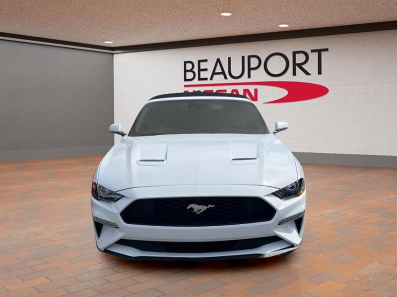 ford Mustang 2022 - 2