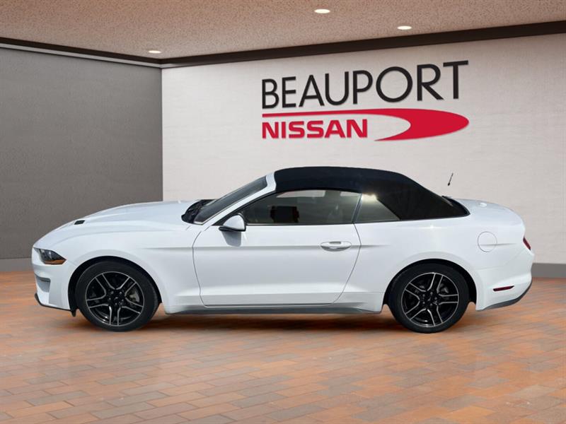 ford Mustang 2022 - 7