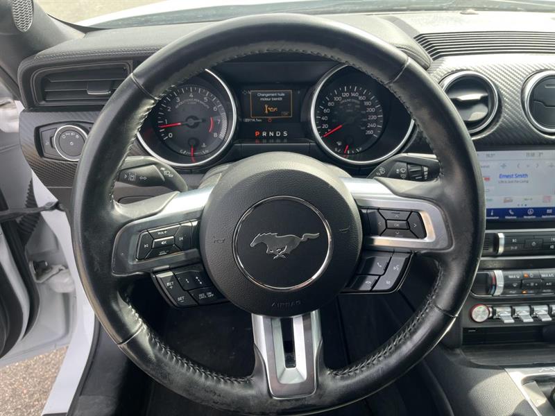 ford Mustang 2022 - 19
