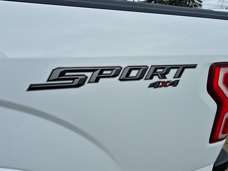 ford F-150 2019 - 7