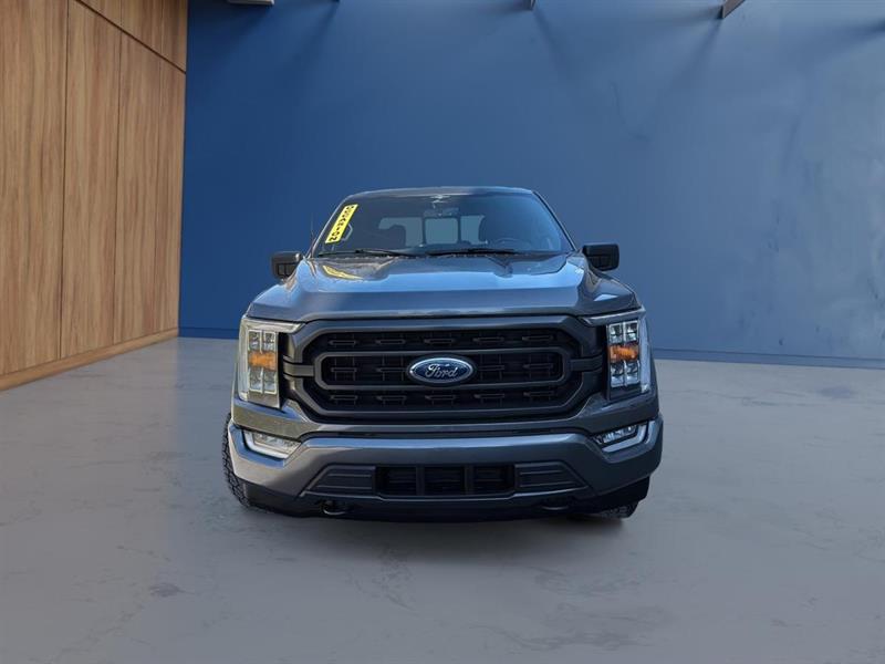 ford F-150 2023 - 4