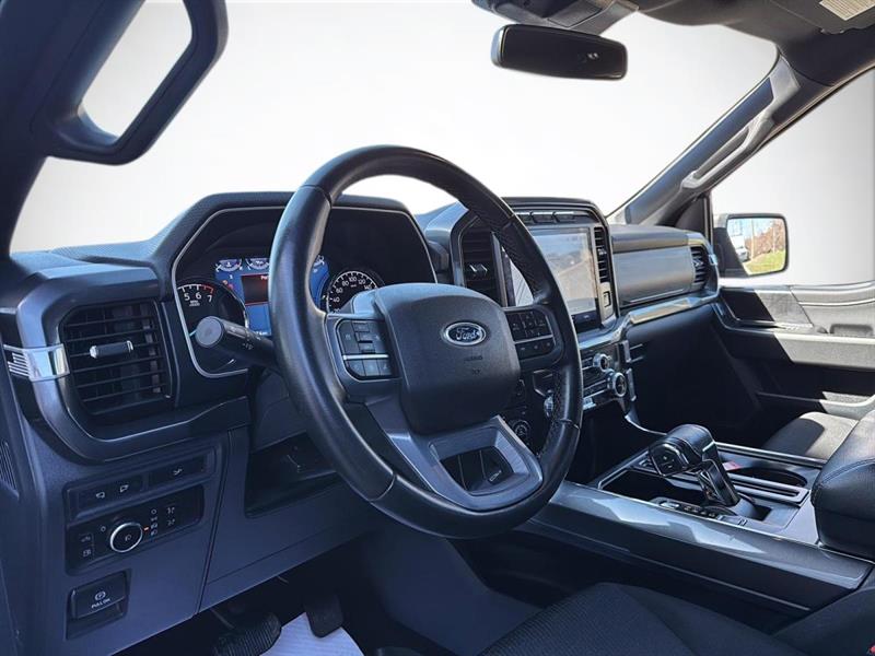 ford F-150 2023 - 12