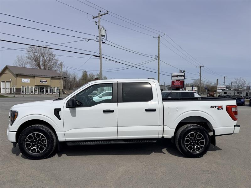 ford F150 2023 - 3