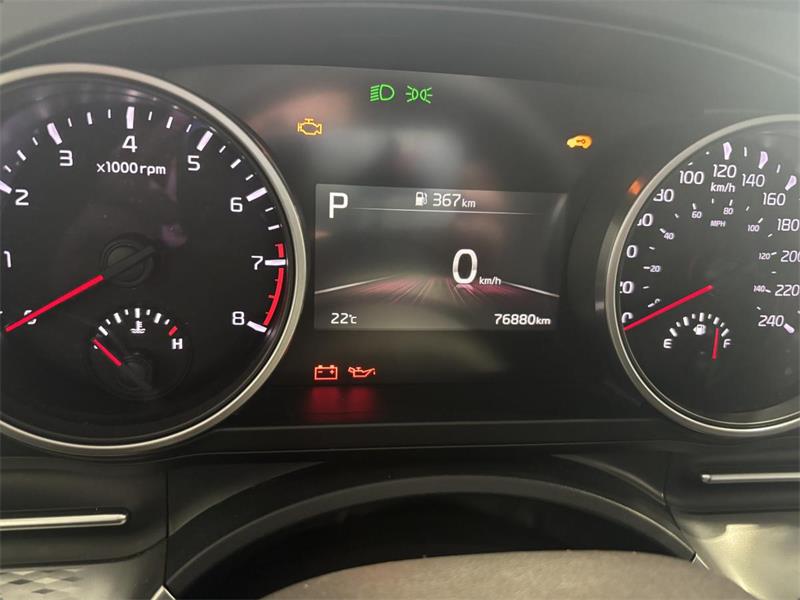kia Carnival 2024 - 15