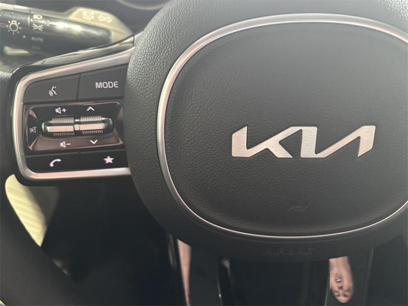 kia Carnival 2024 - 17