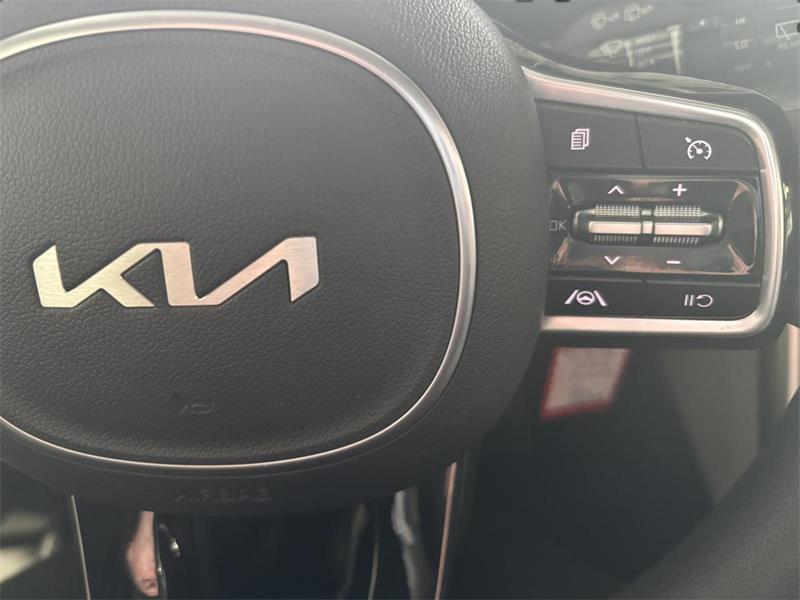 kia Carnival 2024 - 18
