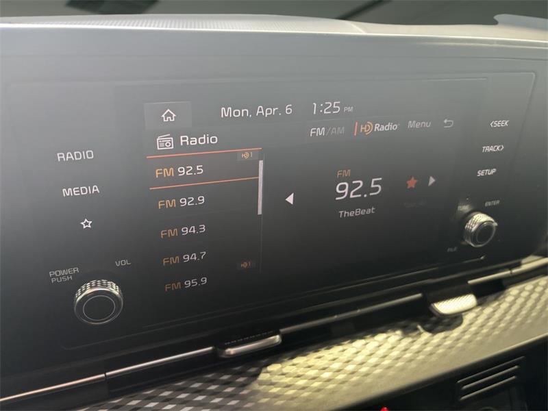 kia Carnival 2024 - 19