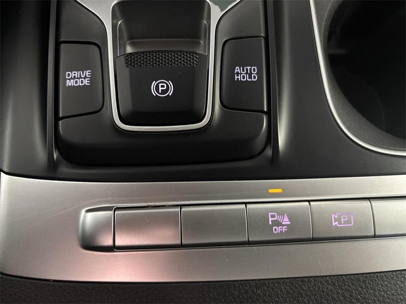 kia Carnival 2024 - 23
