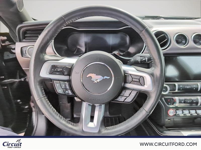 ford Mustang 2023 - 12