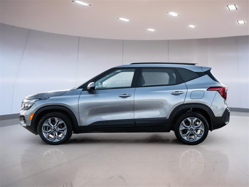 kia Seltos 2024 - 6