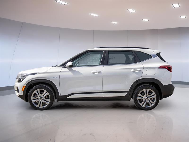 kia Seltos 2021 - 4