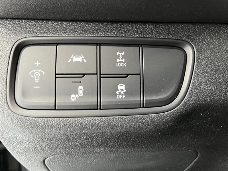hyundai Santa Fe 2020 - 17