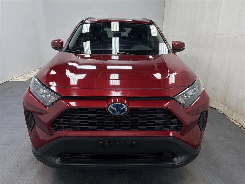 toyota RAV4 2020 - 17