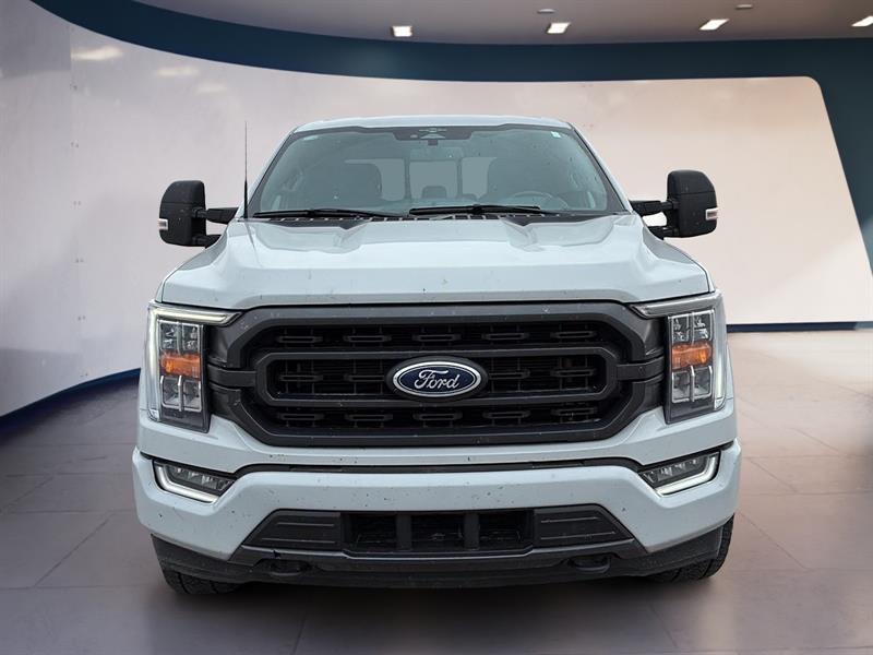 ford F-150 2023 - 2