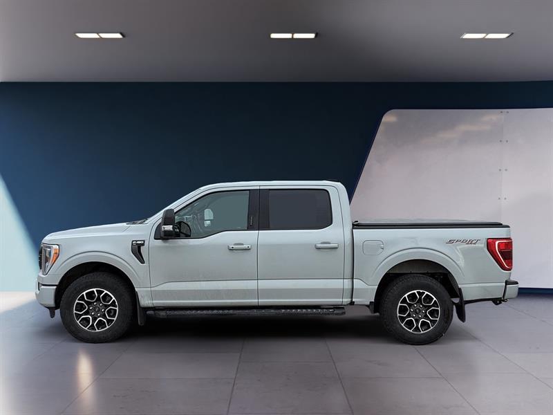 ford F-150 2023 - 4