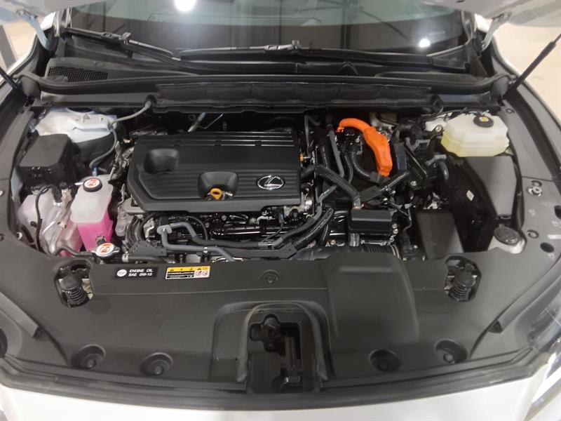 lexus RX 350 2024 - 7