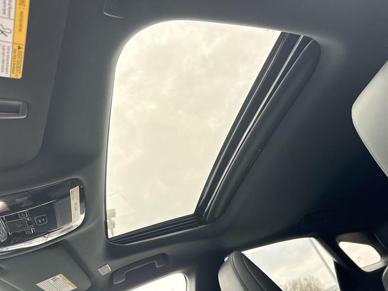 lexus RX 2025 - 25