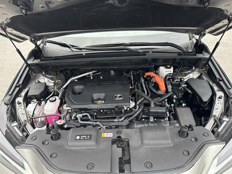 lexus NX 2025 - 29