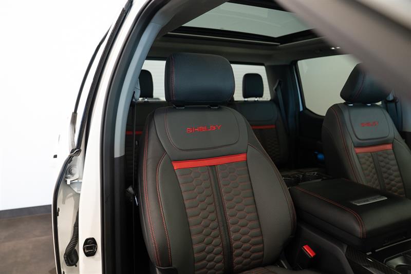 ford F-150 2023 - 14