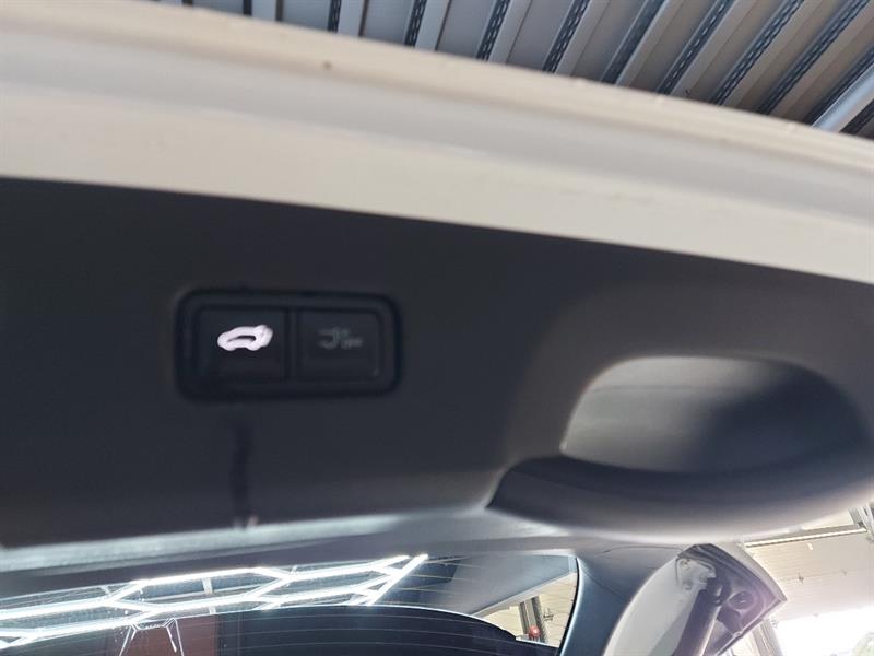 kia Carnival 2026 - 6