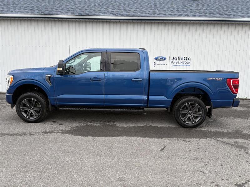 ford F-150 2023 - 3