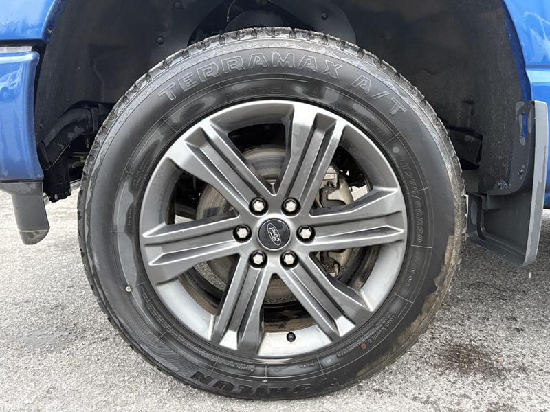 ford F-150 2023 - 11